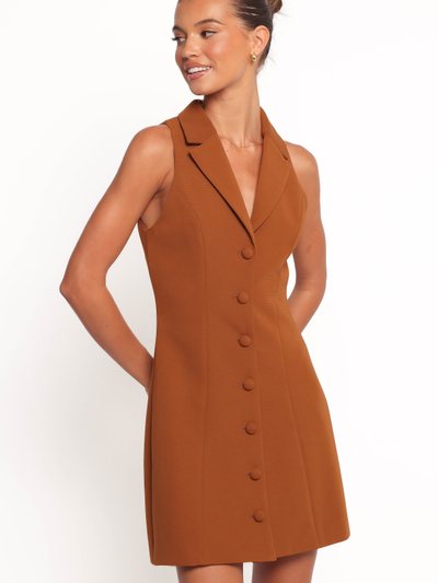 Petal & Pup Barrett Mini Dress - Brown