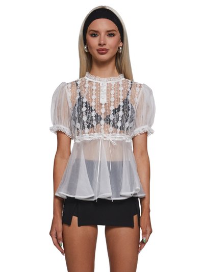 Dolls Kill Screenshot This Sheer Blouse