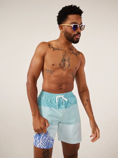 Chubbies The Whale Sharks 7" (Lined Classic Swim Trunk)
