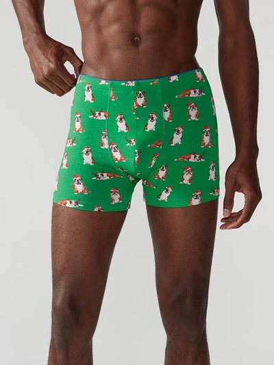 Chubbies The Frankies (Boxer Brief)