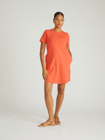 Universal Standard Halie T-Shirt Dress - Coral Reef