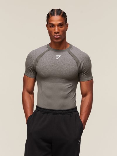 Gymshark Gymshark Shadow Seamless T Shirt - Meteor Grey
