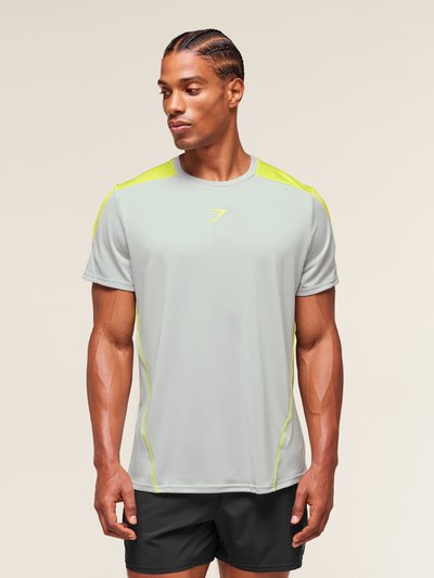 Gymshark Gymshark Arrival Block T-Shirt - Light Grey