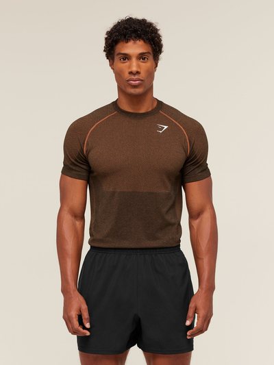 Gymshark Gymshark Vital Seamless T-Shirt - Black/Spiced Brown