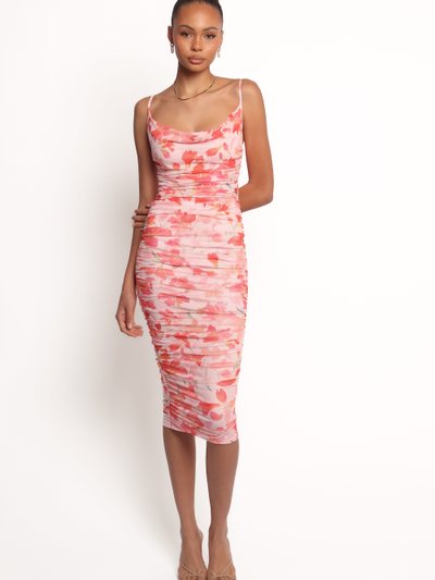 Petalandpup Tempest Midi Dress - Pink Floral