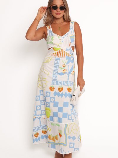 Petalandpup Janina Maxi Dress - Multi Print