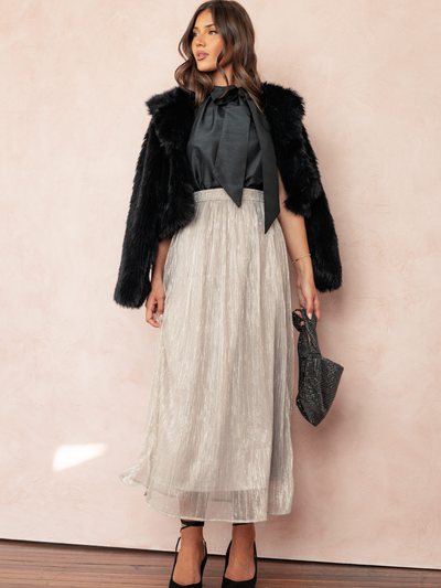 Petalandpup Tricia Maxi Skirt - Silver