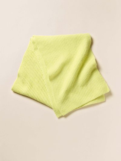 Fahertybrand Alpaca Cozy Scarf - Citrus Shore