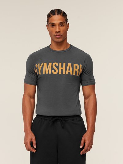 Gymshark Gymshark Prime T-Shirt - Grey/Antique Gold