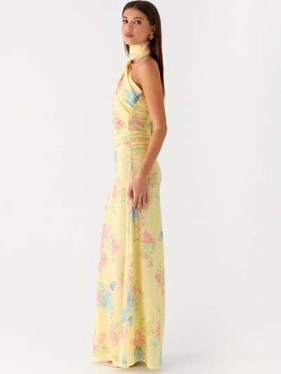 Peppermayo Songbird Maxi Dress - Spring Meadow