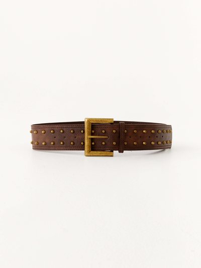 Peppermayo Jetset Belt - Brown