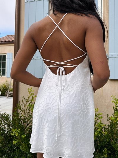 Showmeyourmumu Dani Mini Dress ~ White Daisy Burnout